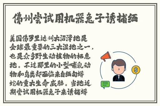 Freesex性果冻传媒麻豆
